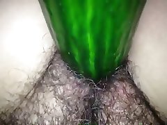 cucumber in pussy